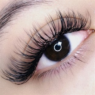 La Lash Academy in Santa Monica