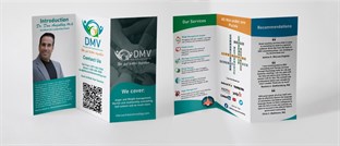 DMV therapy and counseling services in Tarpon Springs